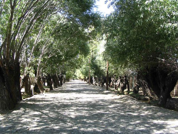Baghestan Touristic Area and Ferdous Hot Springs
