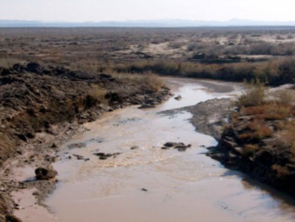 Shirahmad Wildlife Shelter