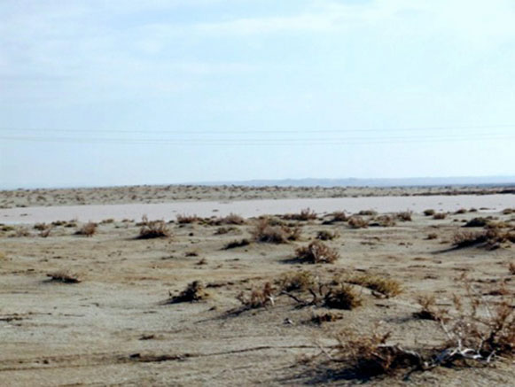 Shirahmad Wildlife Shelter