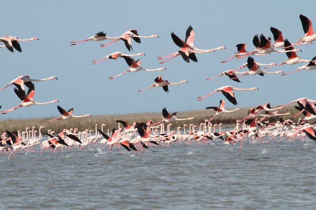 Triple Lagoons of Golestan Province