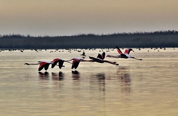 Triple Lagoons of Golestan Province