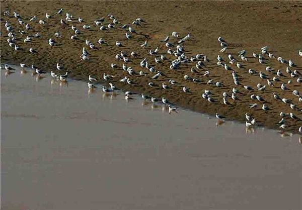 Triple Lagoons of Golestan Province