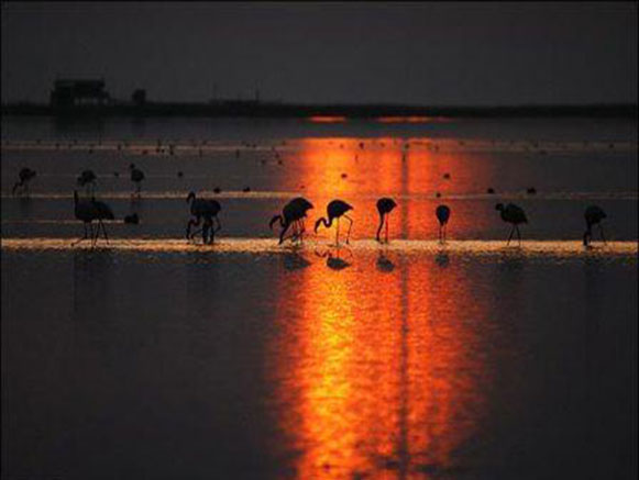 Triple Lagoons of Golestan Province