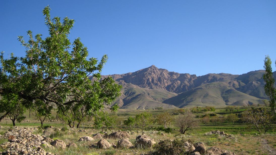 Protected Area of Mishodaghi