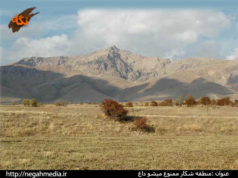 Protected Area of Mishodaghi