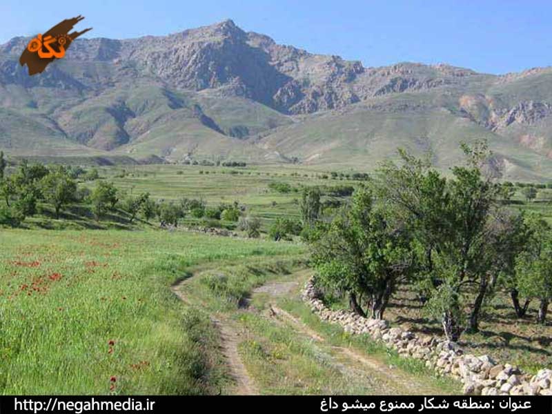 Protected Area of Mishodaghi