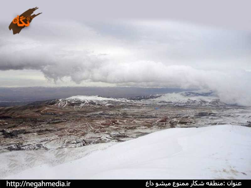Protected Area of Mishodaghi
