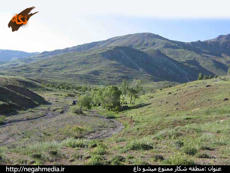 Protected Area of Mishodaghi