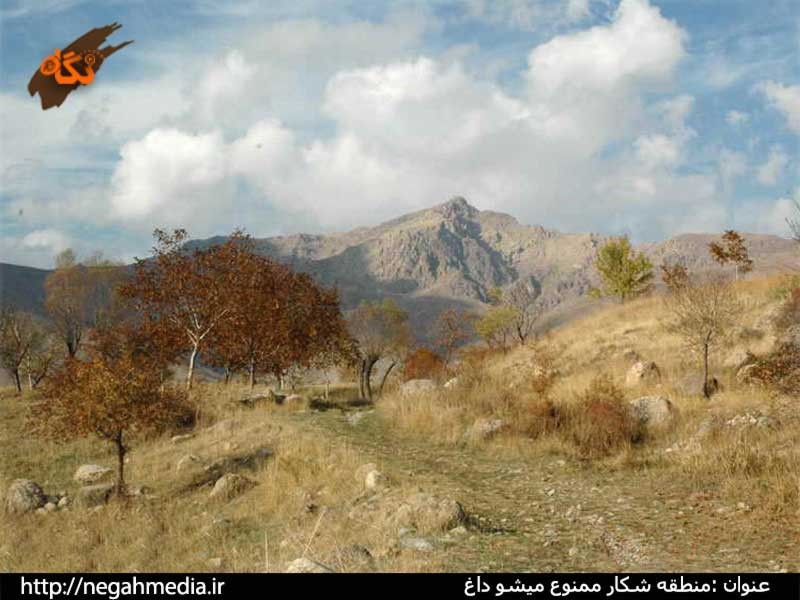 Protected Area of Mishodaghi