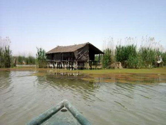 International Lagoon of Amir Kalayeh