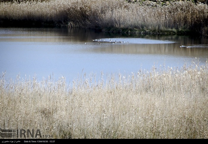 Pol-e Dokhtar Lagoons