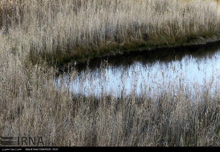 Pol-e Dokhtar Lagoons