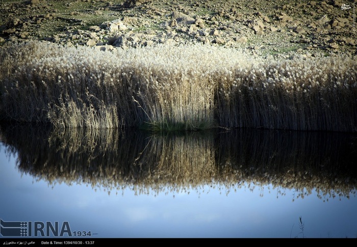Pol-e Dokhtar Lagoons