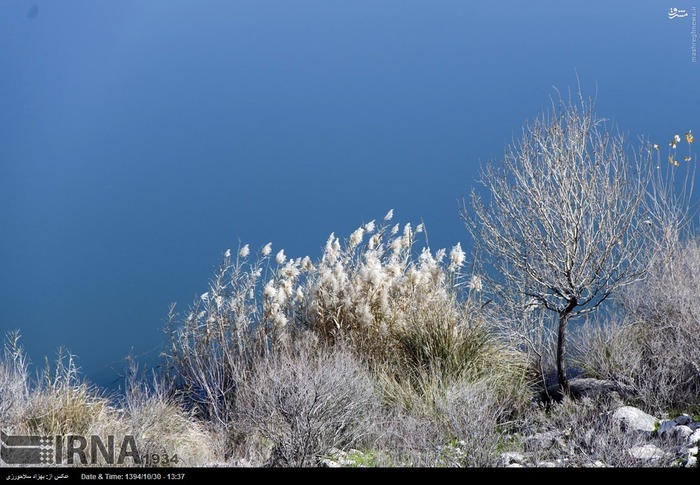 Pol-e Dokhtar Lagoons