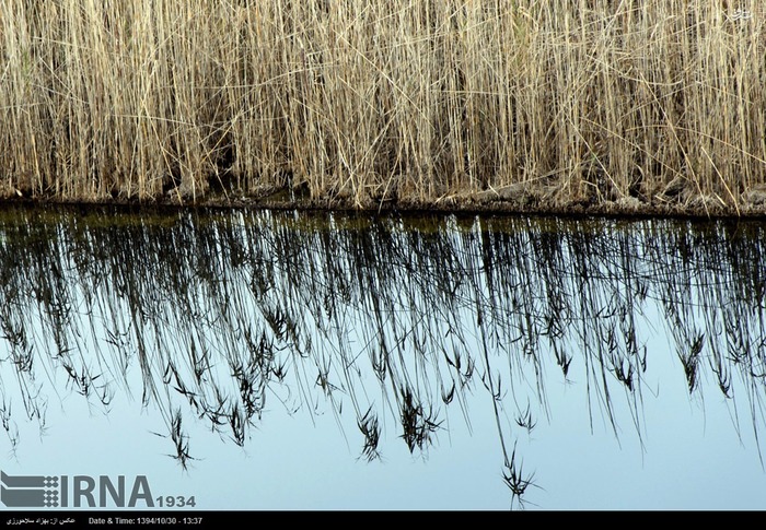 Pol-e Dokhtar Lagoons