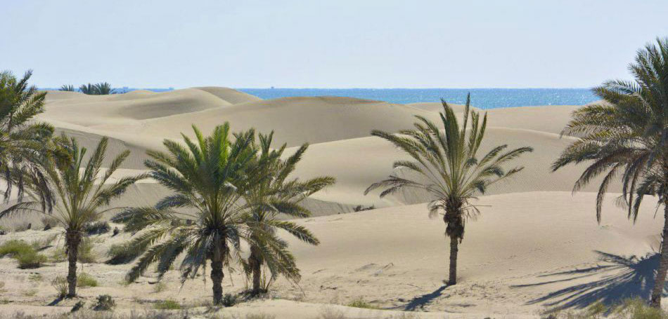 Darak Beaches of Konarak