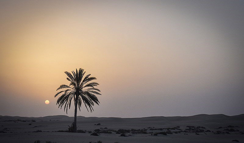 Darak Beaches of Konarak