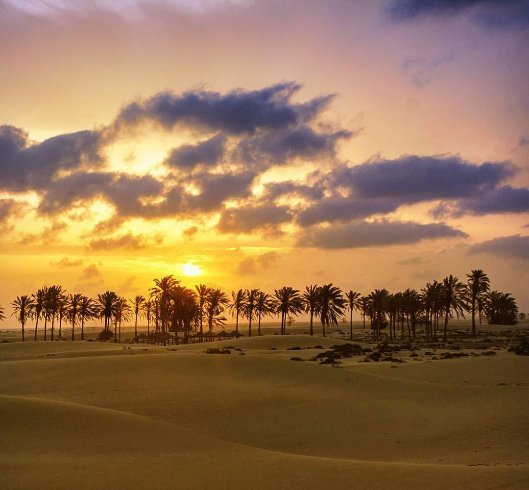 Darak Beaches of Konarak