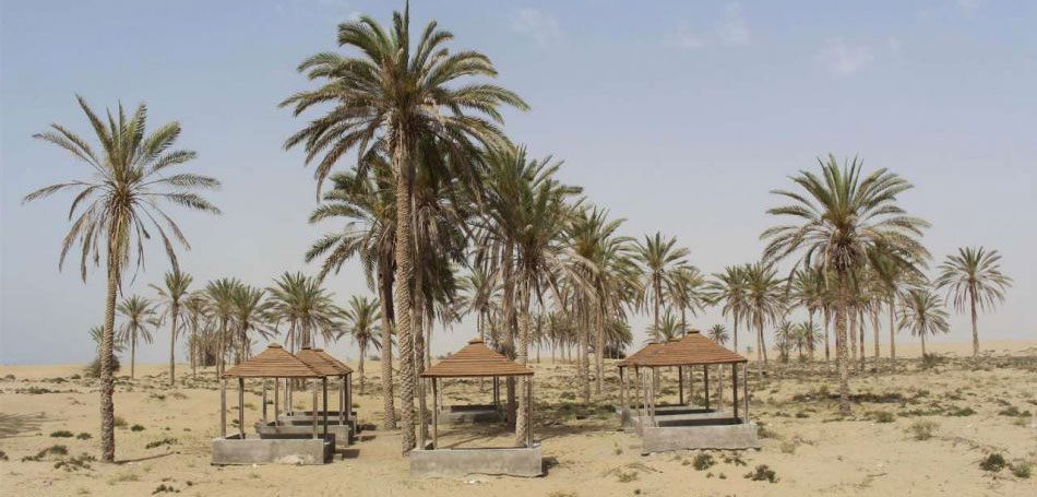 Darak Beaches of Konarak