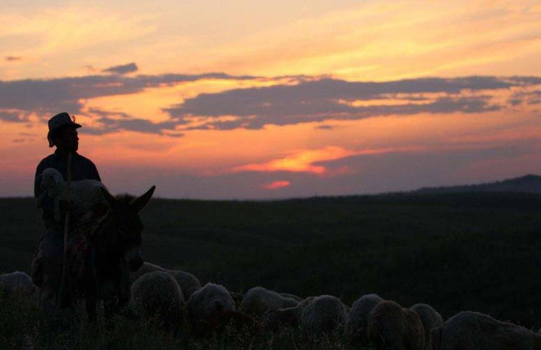 The Nomads of Ardabil