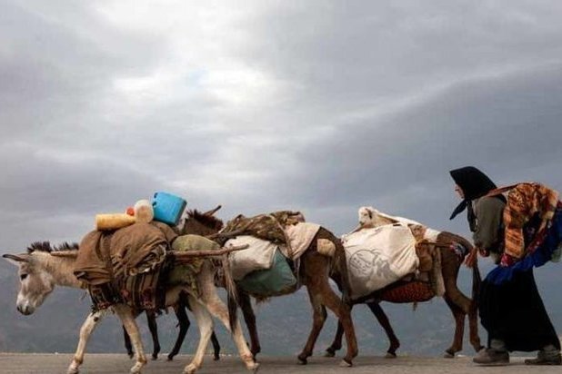 The Nomads of Ardabil