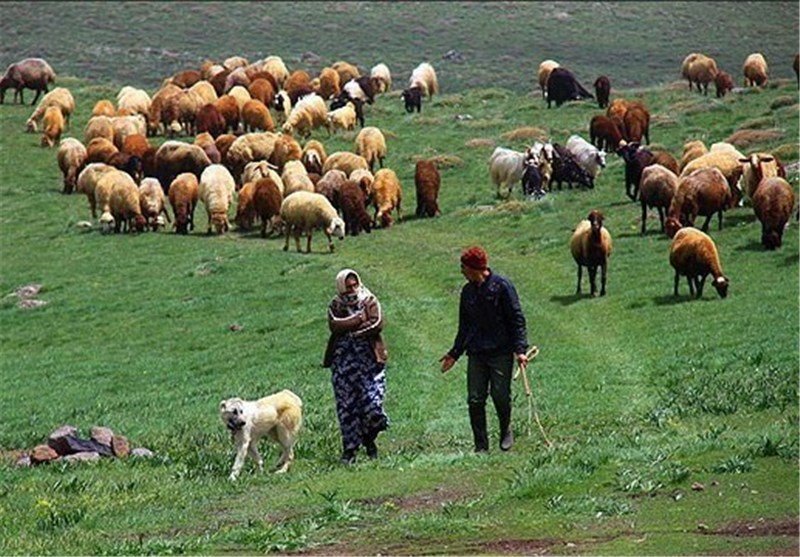 The Nomads of Ardabil