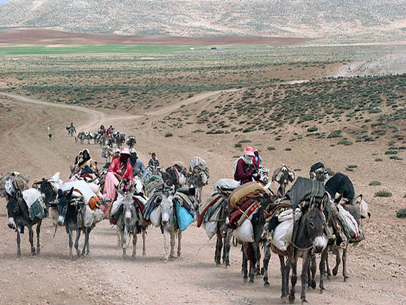The Nomads of Ardabil