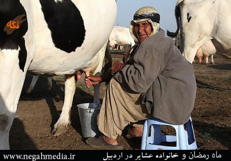 The Nomads of Ardabil