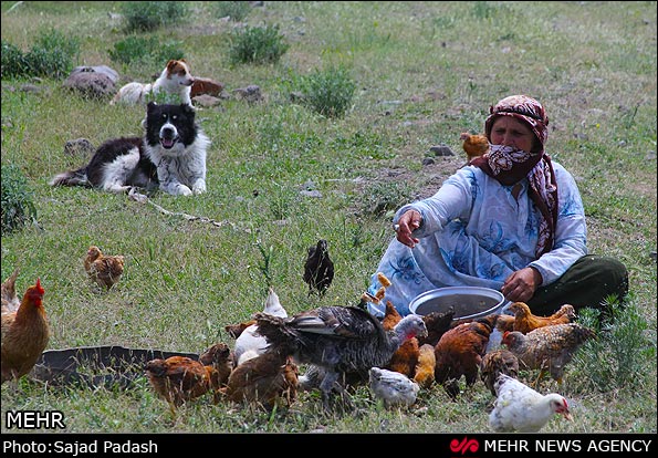 The Nomads of Ardabil