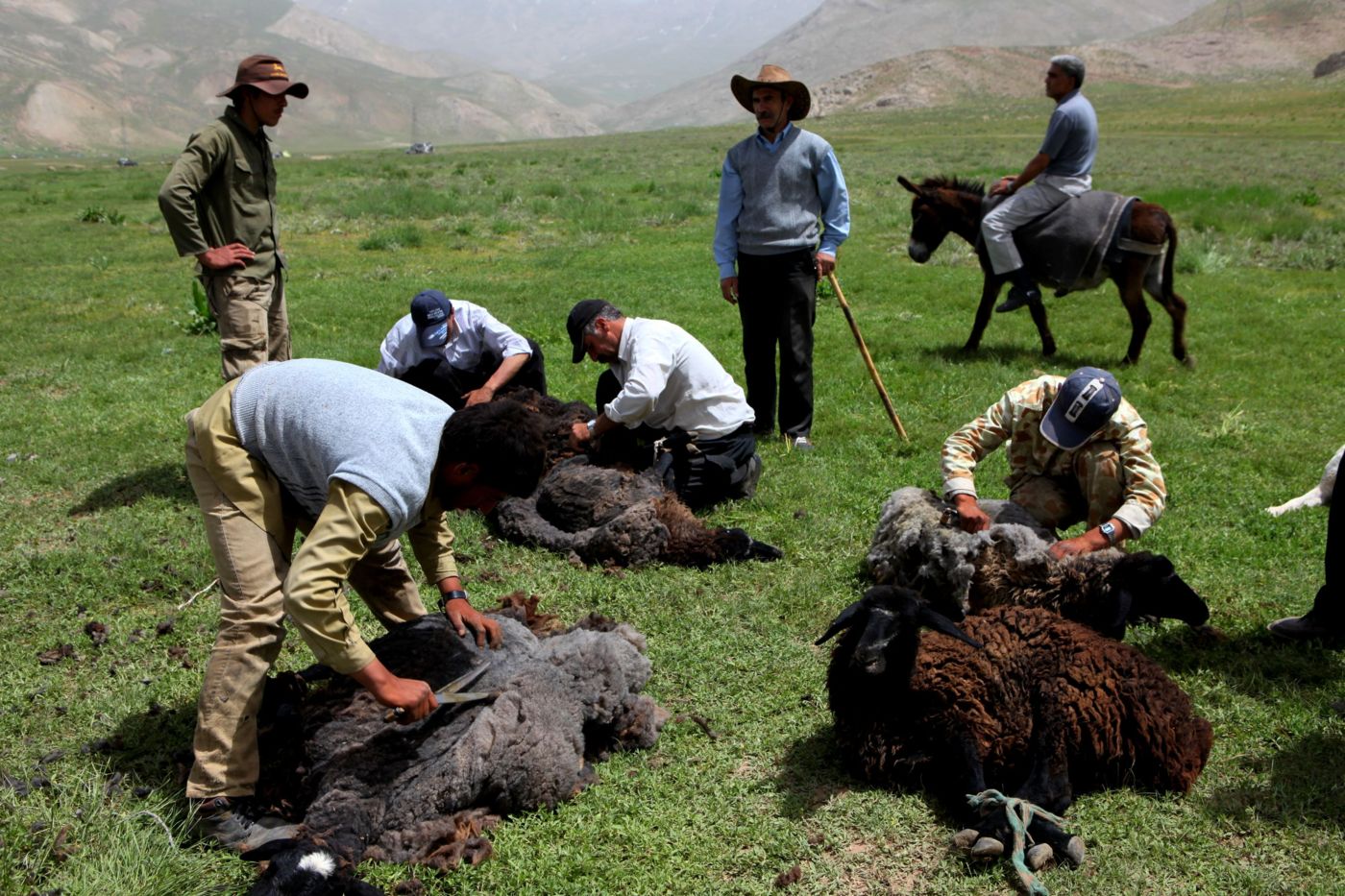 The Nomads of Ardabil