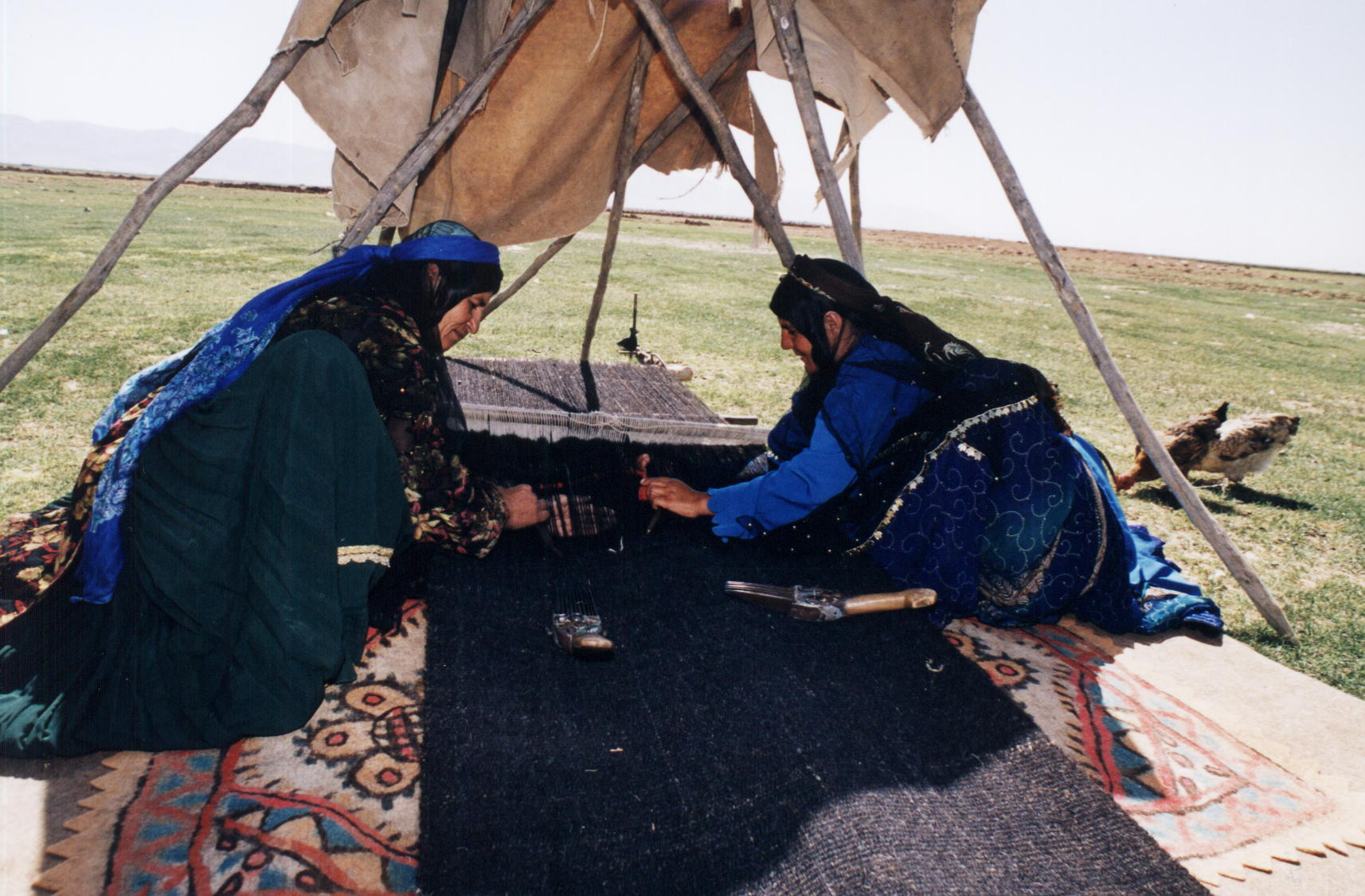 The Nomads of Ardabil