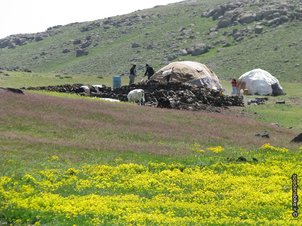 The Nomads of Ardabil