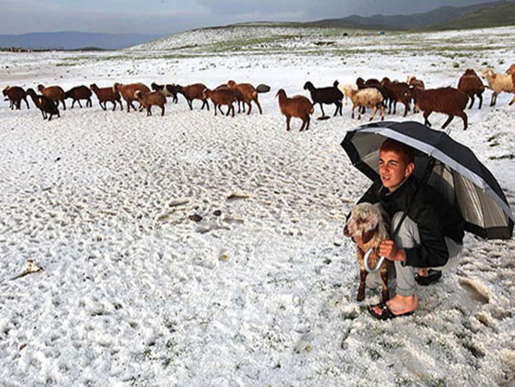 Shahsevan Nomads