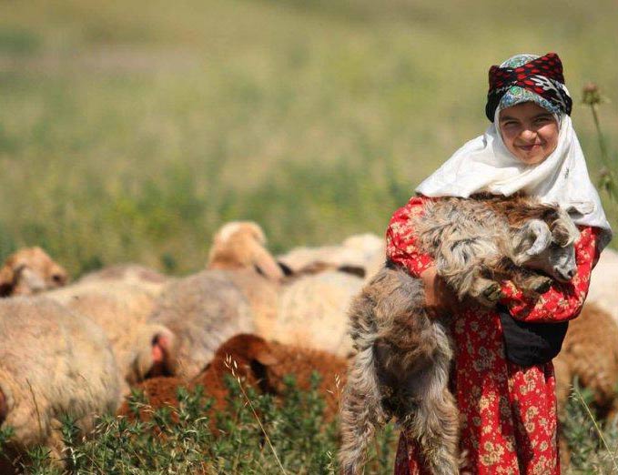 Shahsevan Nomads