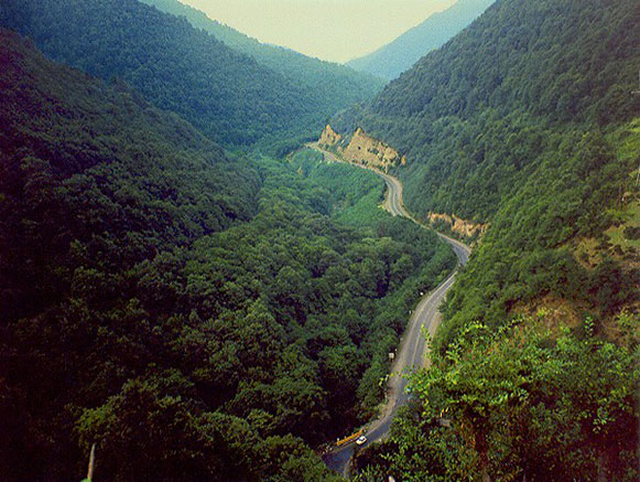 Makidi Forest Valley