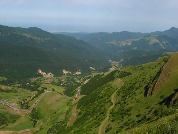 Fandoqlu Forest, Namin