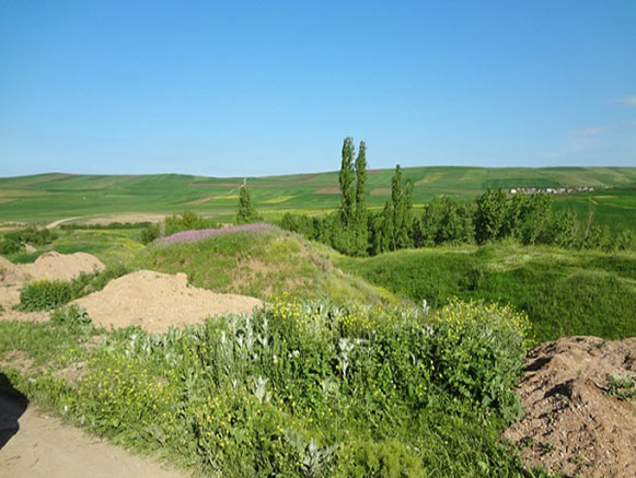 Shukurlu Village