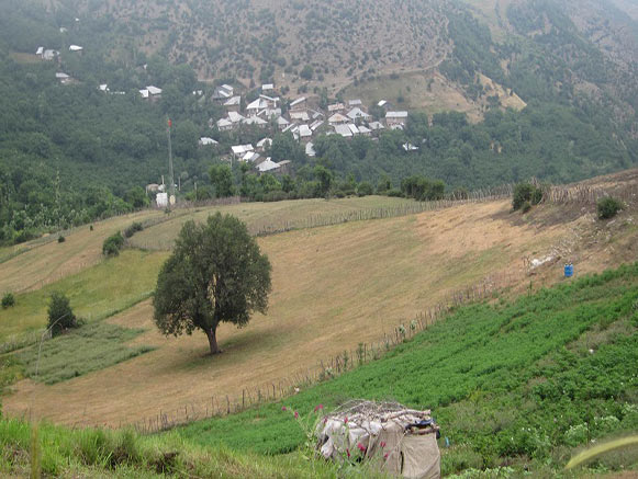 Ieni Village