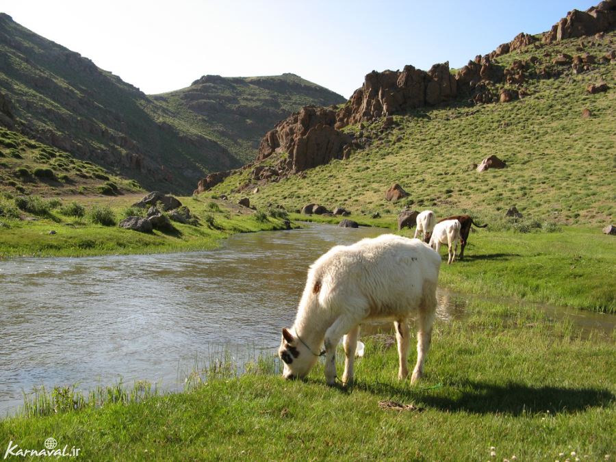 Neor Fresh Water Lake