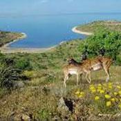 Eshshek Island, Urmia