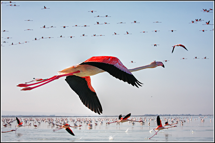 Famous Wetlands of Maku