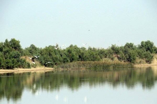 Famous Wetlands of Maku