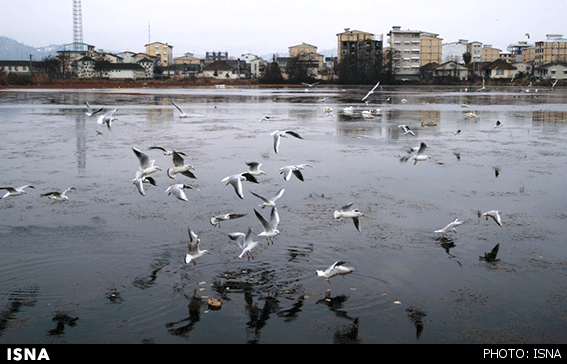 Famous Wetlands of Maku