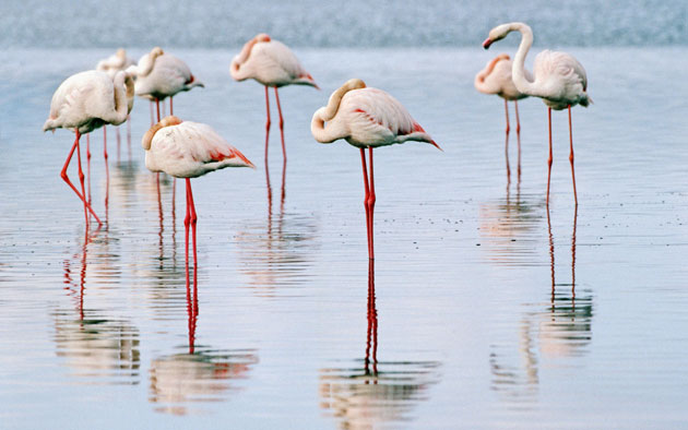 Famous Wetlands of Maku
