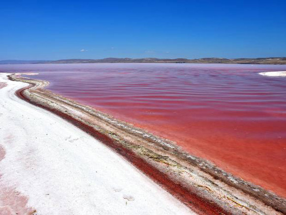 Lake Urmia