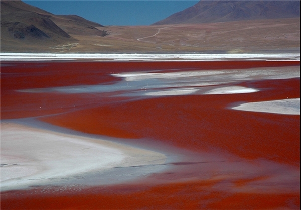 Lake Urmia