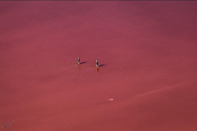 Lake Urmia
