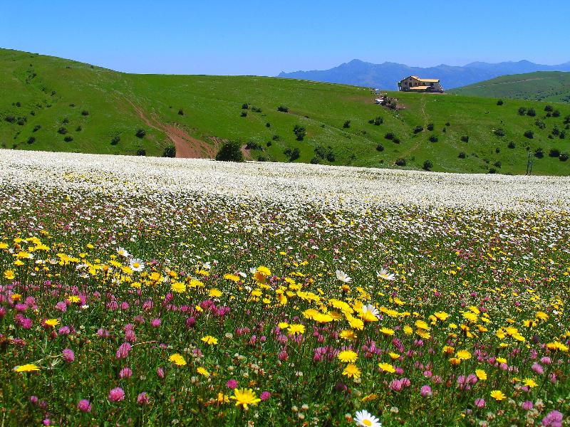 Beautiful Nature of Ardabil Province