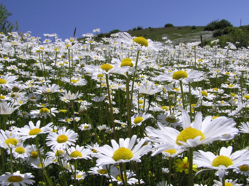 Beautiful Nature of Ardabil Province