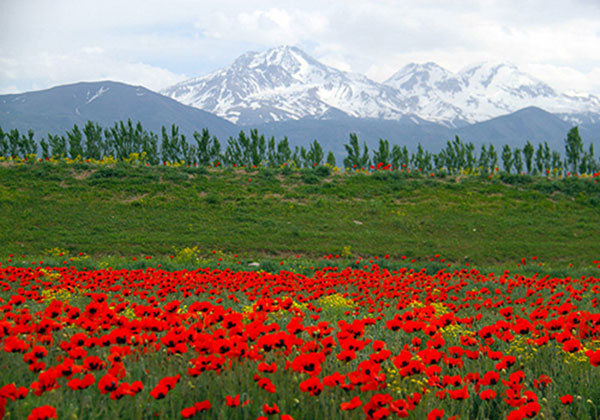 Beautiful Nature of Ardabil Province